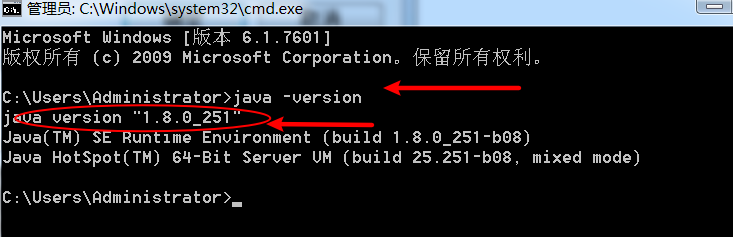 image-20210202182707499