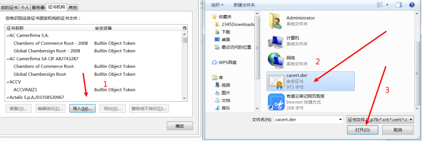 image-20210202185702895