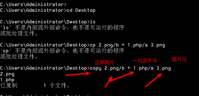 image-20210202210320771