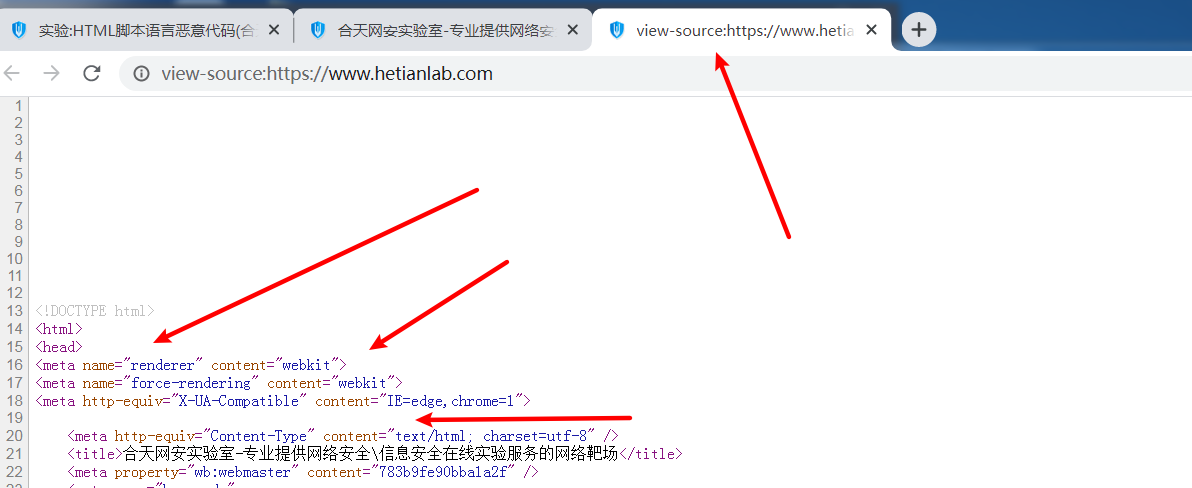 image-20210203130544206