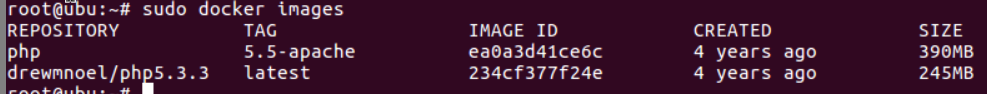 image-20210209121705416